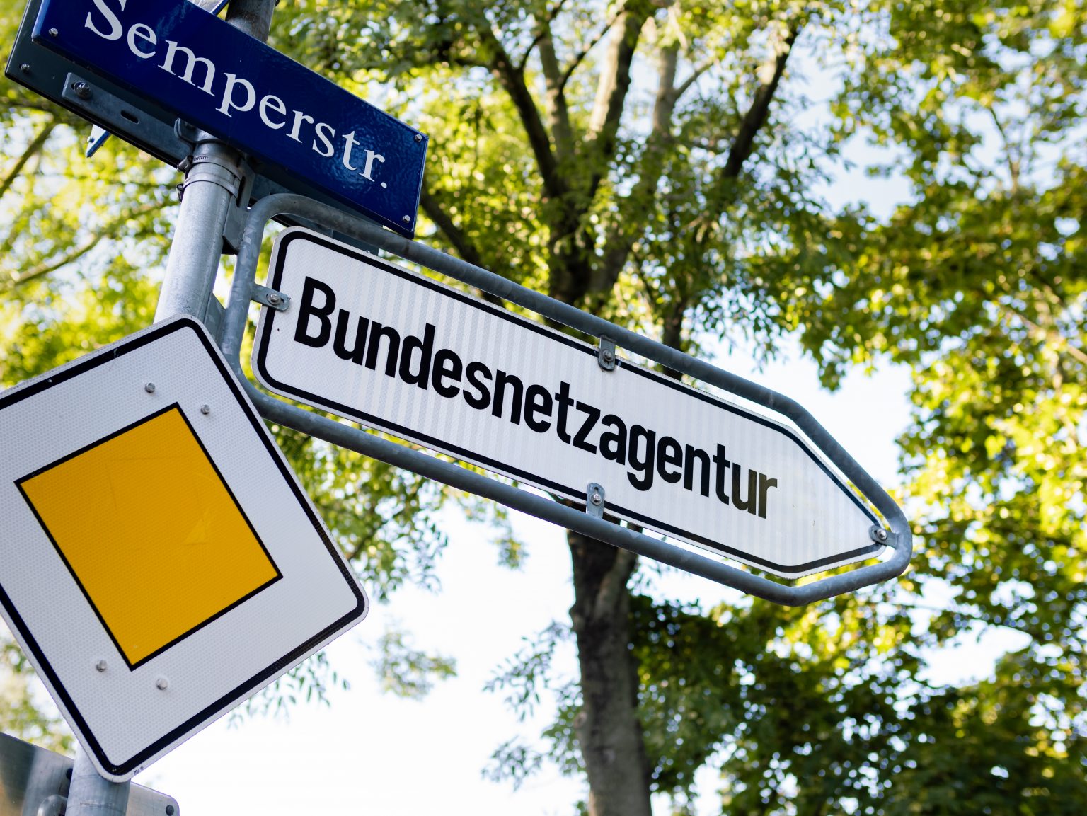 Reform der Stromnetzentgelte