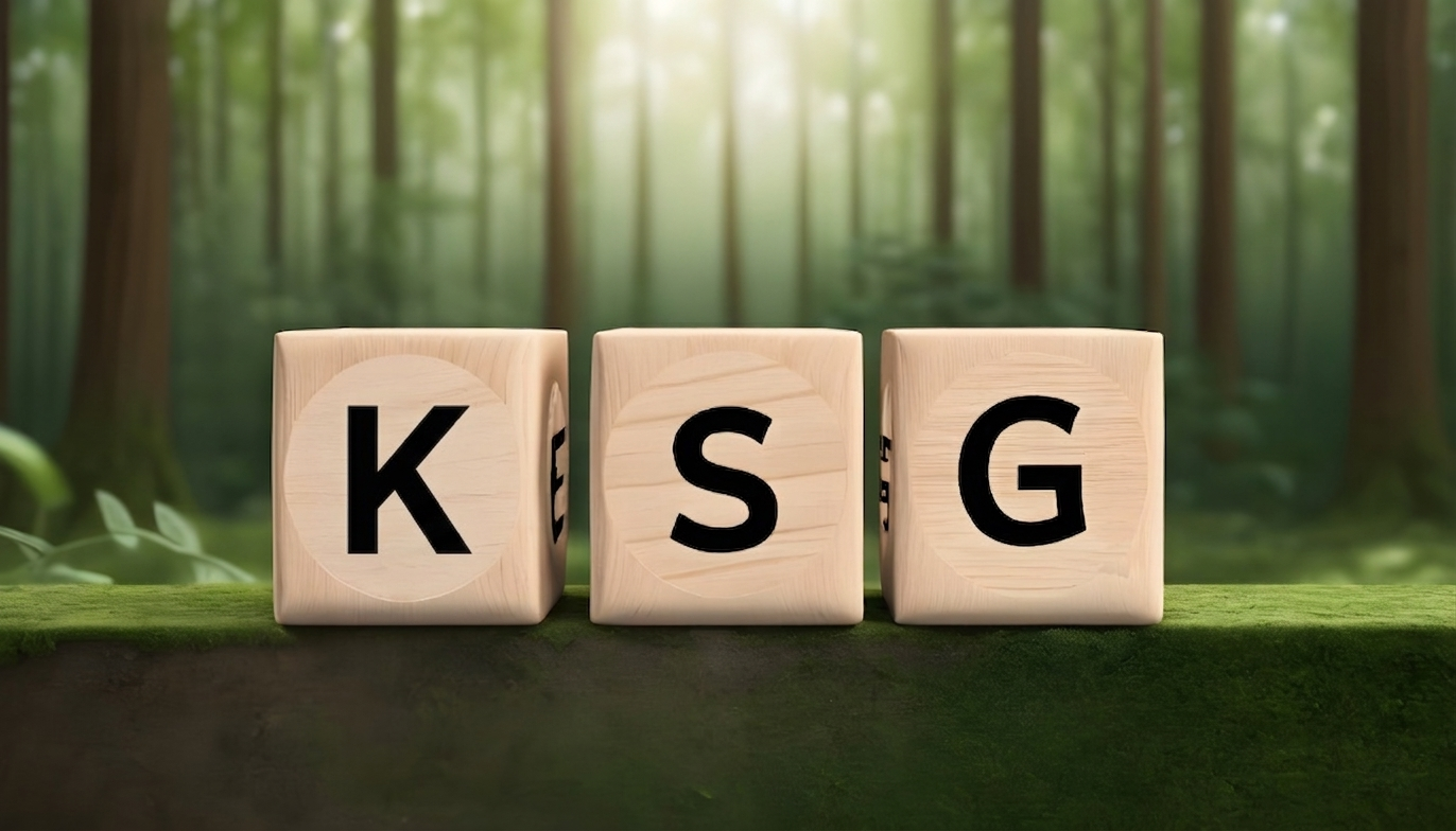 Bundes-Klimaschutzgesetz-KSG-Header